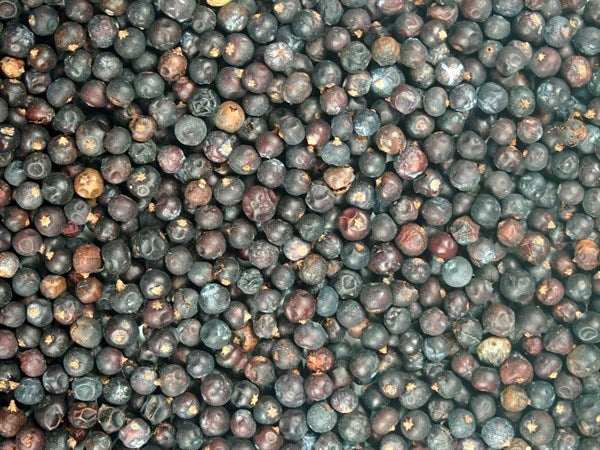 Jałowiec cały - 100 g