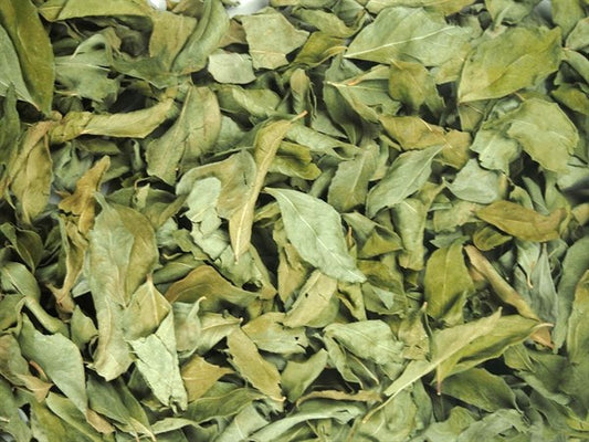 Liście curry - 100 g