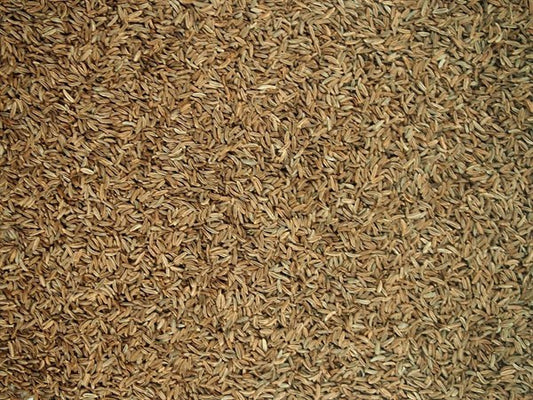 Kminek czeski cały - 100 g