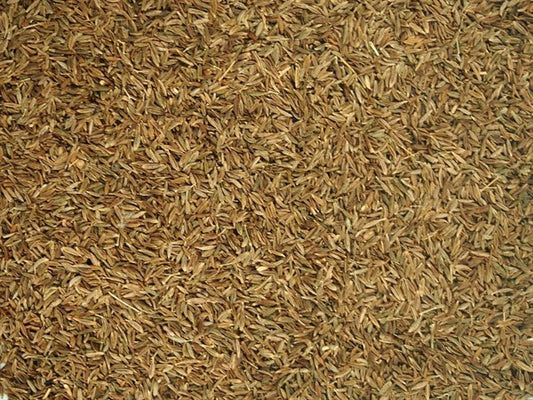 Kmin rzymski cały - 100 g