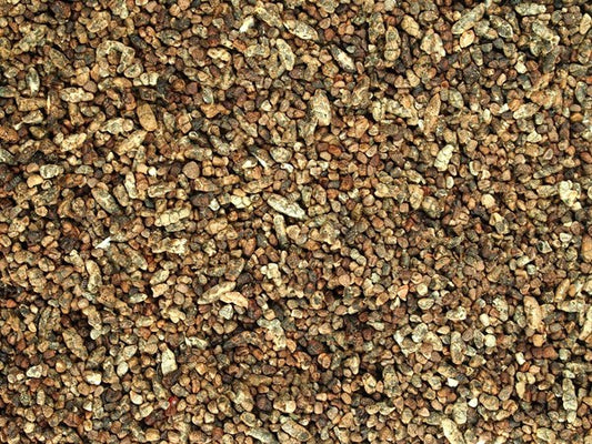 Kardamon cały - 100 g