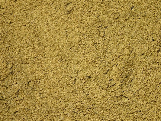 Koper włoski mielony - 100 g