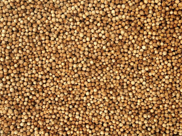 Cała kolendra ekologiczna - 100 g
