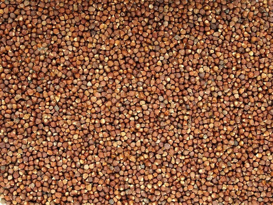 Papryka Gwinejska - nasiona pomidora - 100 g