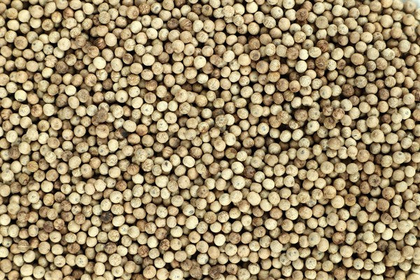 Pieprz biały Kampot - 100 g
