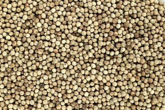 Pieprz biały Kampot - 100 g
