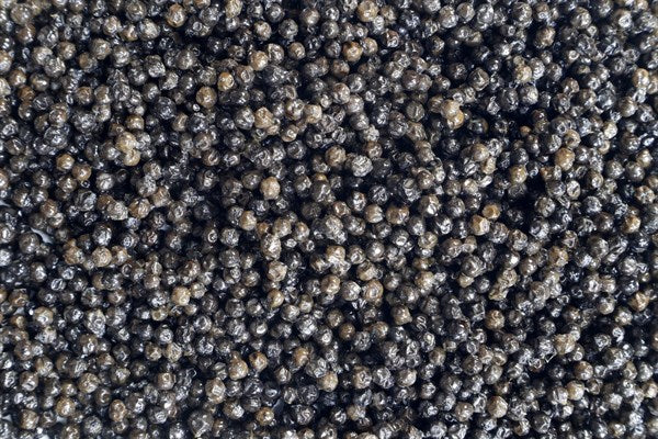 Pieprz czarny fermentowany ekologiczny - 100 g